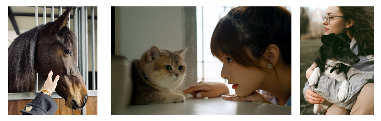 Soins aux animaux et aux humains 